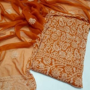 Luxury Chiffon Chikenkari